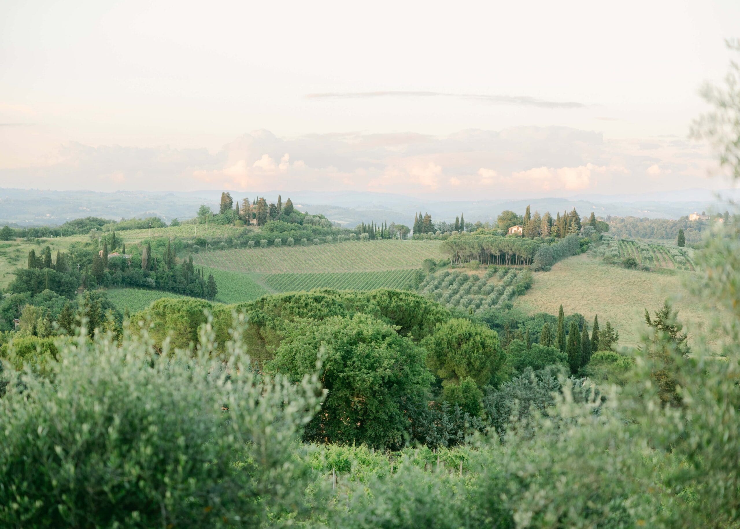 Rolling green hills in Tuscany with a soft sunset sky